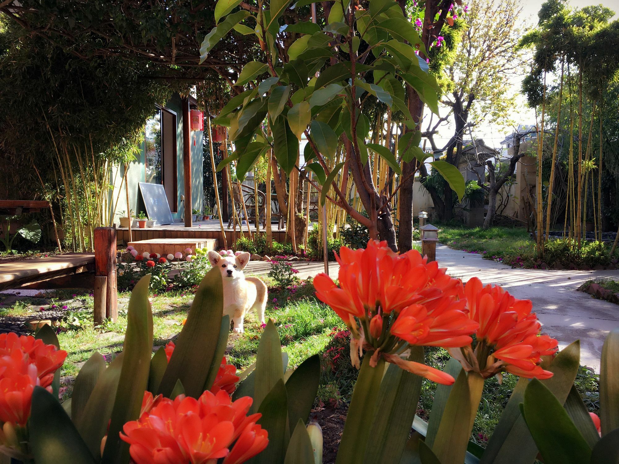 Ooh Countryard Inn Dali  Exterior foto